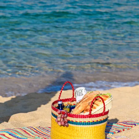 מלון Anamar Mykonos Natural Retreat 4*