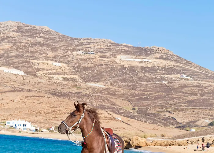 Anamar Mykonos Natural Retreat
