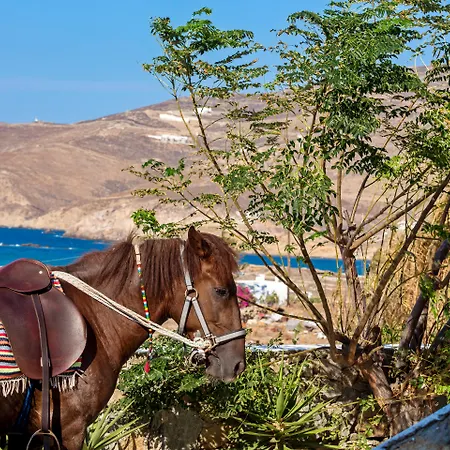 Anamar Mykonos Natural Retreat Ftelia (Mykonos)