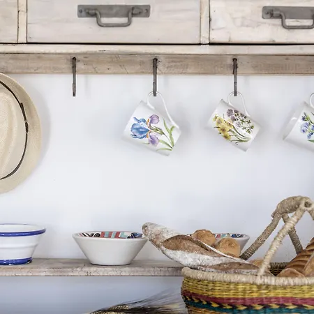 Hotel Anamar Mykonos Natural Retreat Ftelia (Mykonos)