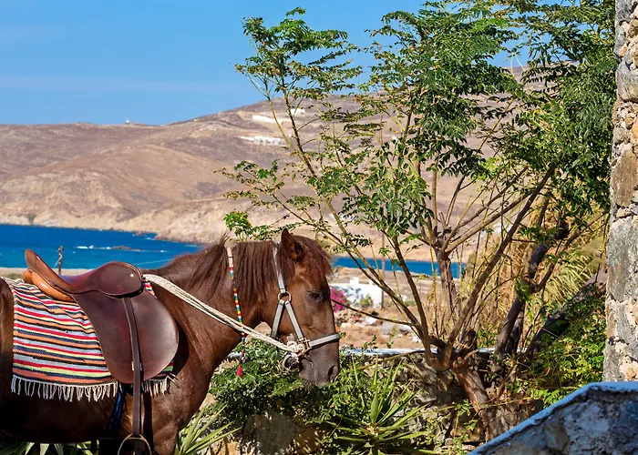 Anamar Mykonos Natural Retreat Mykonos Town